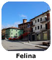 Felina